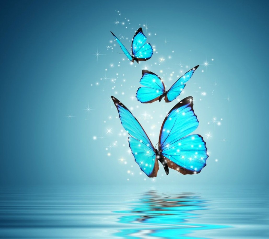 blue_butterflies