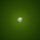 Android Cusomized Logo Wallaper
